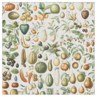 Adolphe Millot Fruits Fabric