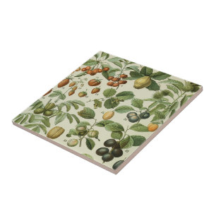 Adolphe Millot - Fruits Tile