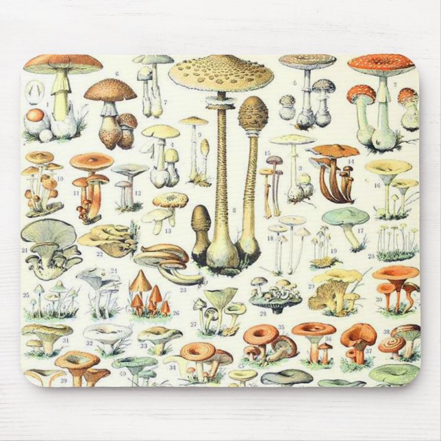 Adolphe Millot mushroom B Mouse Pad (Front)
