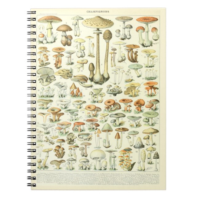 Adolphe Millot Notebook Mushrooms Pattern (Front)