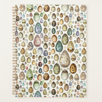 Adolphe Millot Ouefs Eggs Planner