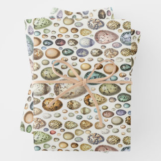 Adolphe Millot Ouefs Eggs Wrapping Paper Sheet