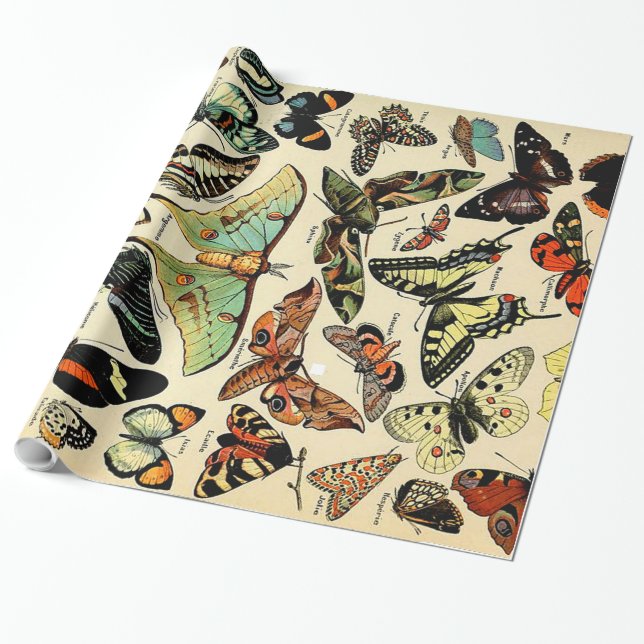 Adolphe Millot Papillons Wrapping Paper (Unrolled)