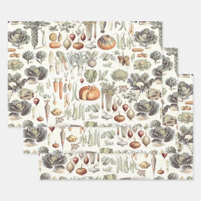 Adolphe Millot Vegetable Pattern Wrapping Paper Sh (Set)