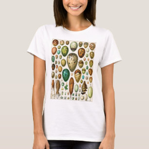 Adolphe Millot Vintage French Bird Eggs T-Shirt