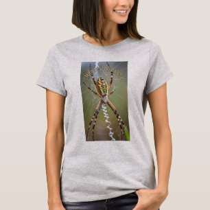 ADOM "Master Spinner" Women's Graphic Tee