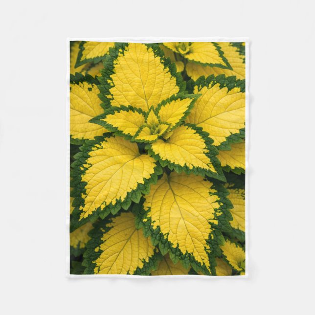 ADOM Yellow Coleus Leaves Plant Blanket (Front)