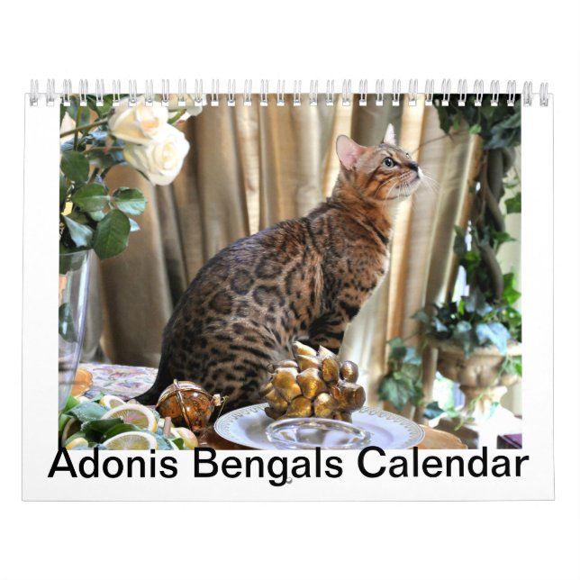 AdonisBengals Calendar- 2014 Calendar (Cover)