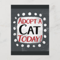 Adopt A Cat Today Postcard