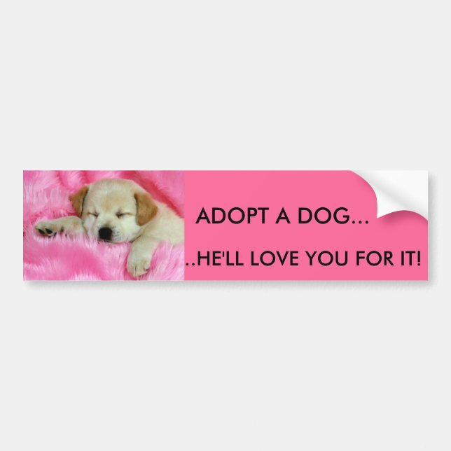 ADOPT A DOG BUMPER STICKER - Customised (Front)