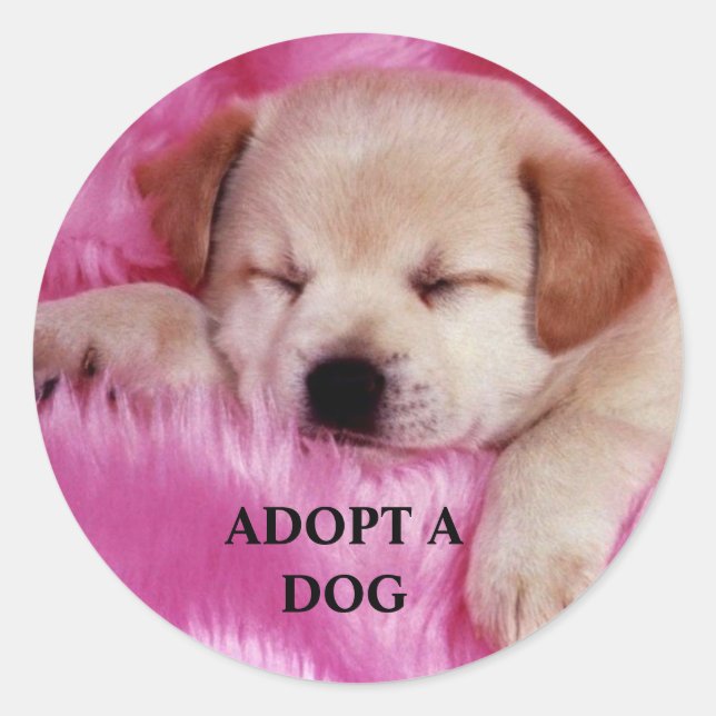 Adopt a Dog Sticker (Front)