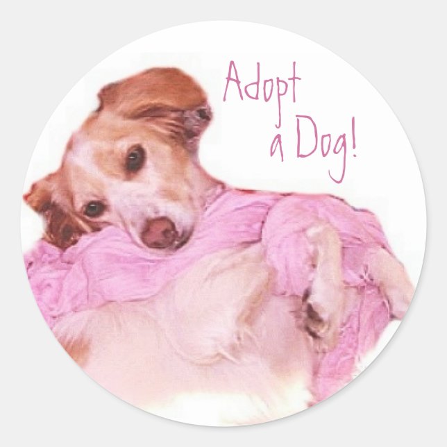 Adopt a Dog  Sticker (Front)