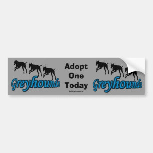 Adopt A Greyhound Bumper Sticker