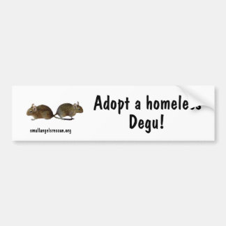 Adopt a homeless Degu! Bumper Sticker