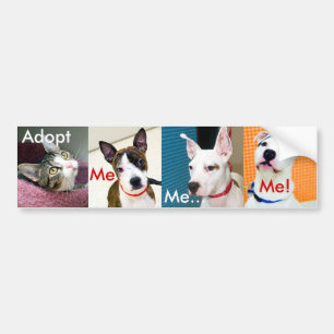 Adopt A Pet Bumper Sticker