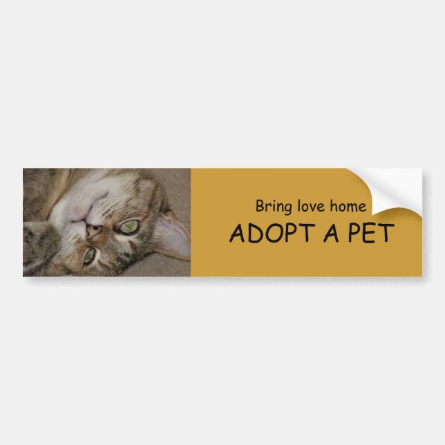ADOPT A PET Bumper Sticker 1 (Front)