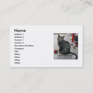 Adopt a Pet Profile Card
