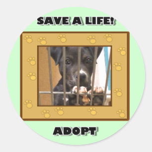 Adopt a puppy sticker