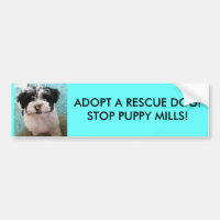 ADOPT A RESCUE DOG!STOP PUPPY MILLS!
