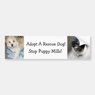 Adopt A Resuce Dog - Havanese Puppies Bumper Sticker