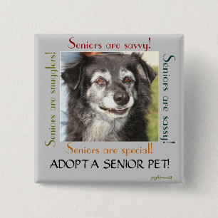 Adopt a Senior Pet 15 Cm Square Badge