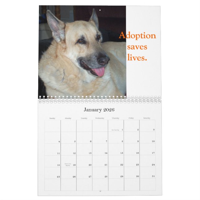Adopt a Shelter Animal Calendar (Jan 2026)