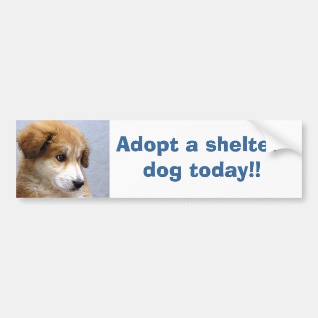 Adopt a shelter dog bumper sticker (Front)