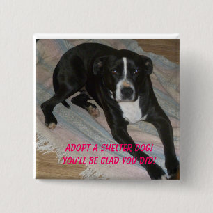 Adopt a Shelter Dog Today! 15 Cm Square Badge