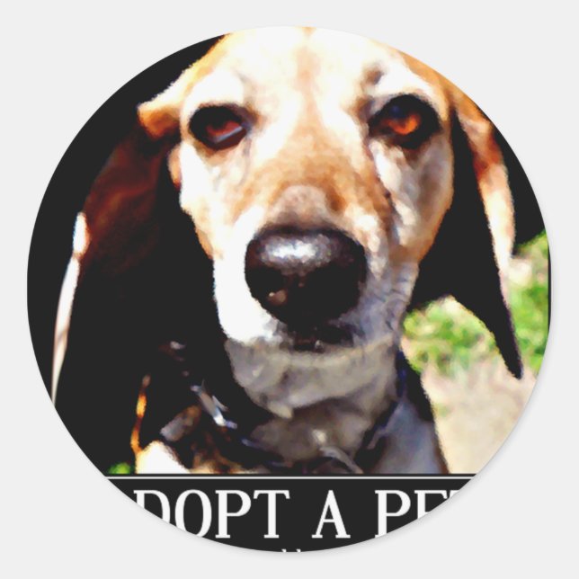 Adopt apet,We need love too_ Classic Round Sticker (Front)