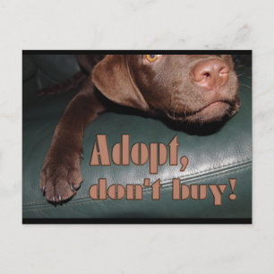 Adopt, don't buy! - fuxart postcard