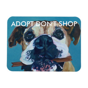 ADOPT DON'T SHOP Car Magnet