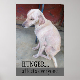 Adopt Dont Shop Poster