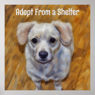 Adopt From a Shelter Cute Dog Poster