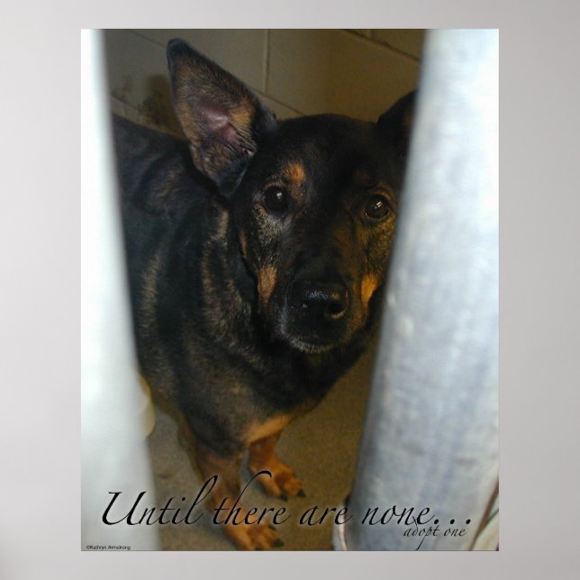 Adopt One! Poster (Front)