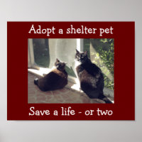 Adopt Shelter Pets