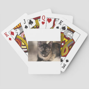 ADOPT Tiffany Playing Cards