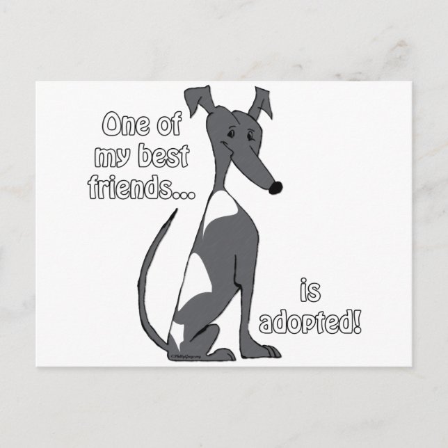 Adopted~BlackandWhite Postcard (Front)