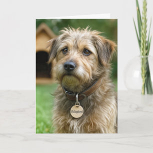 Adopted Gotcha Day Dog Card