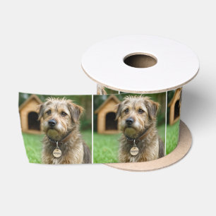 Adopted Scruffy Dog With Doghouse Satin Ribbon