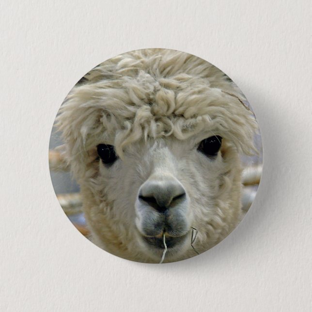 Adorable 6 Cm Round Badge (Front)
