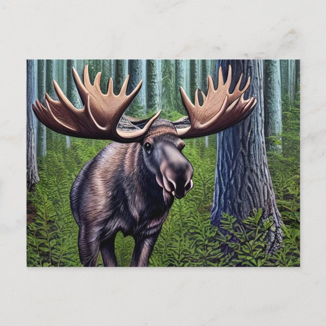 Adorable Abstract Little Moose Postcard (Front)