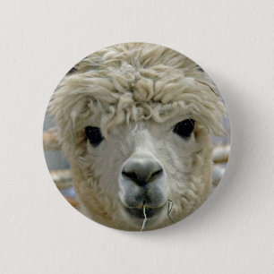 Adorable Alpaca 6 Cm Round Badge