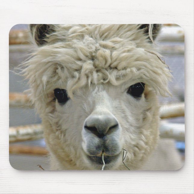Adorable Alpaca Mouse Pad (Front)