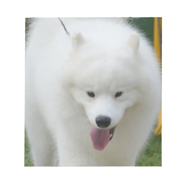 Adorable American Eskimo Dog Notepad (Front)