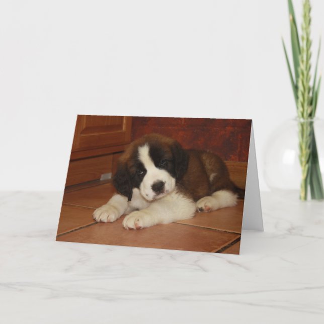 Adorable and Sweet St. Bernard Puppy Card (Front)