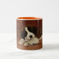 Adorable and Sweet St. Bernard Puppy