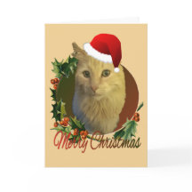 Adorable and unique Cat Christmas Card