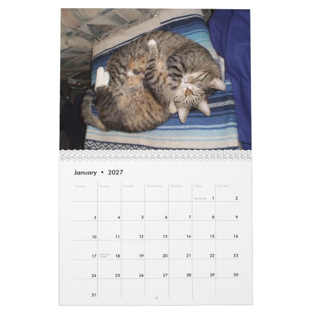 Adorable Animal Calendar (Jan 2027)