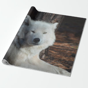 Adorable Arctic Wolf Wrapping Paper