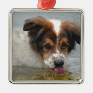 Adorable Australian Shepherd Metal Tree Decoration